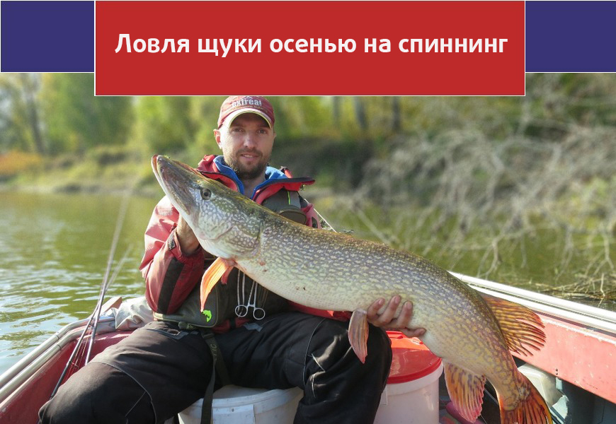 Щука на реке Москва: рыболовные места, особенности ловли
