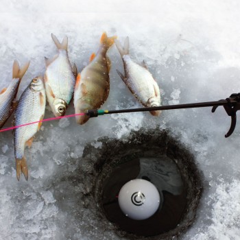 Зимние рыболовные снасти