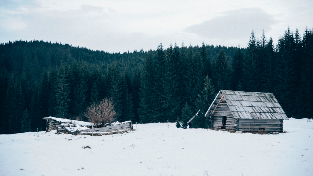 Зимовье в лесу: охотничий домик