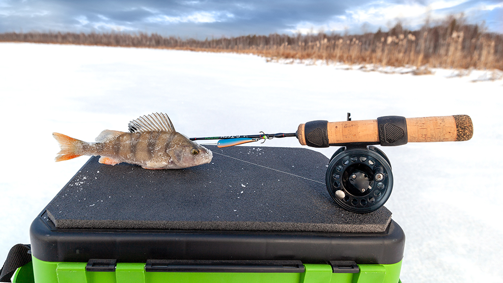 Зимние блесны - купить блесну для зимней рыбалки | gkhyarovoe.ru
