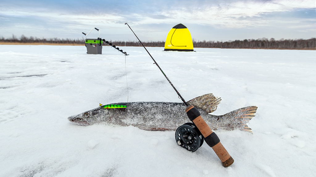 Как выбрать удочки для зимней рыбалки?