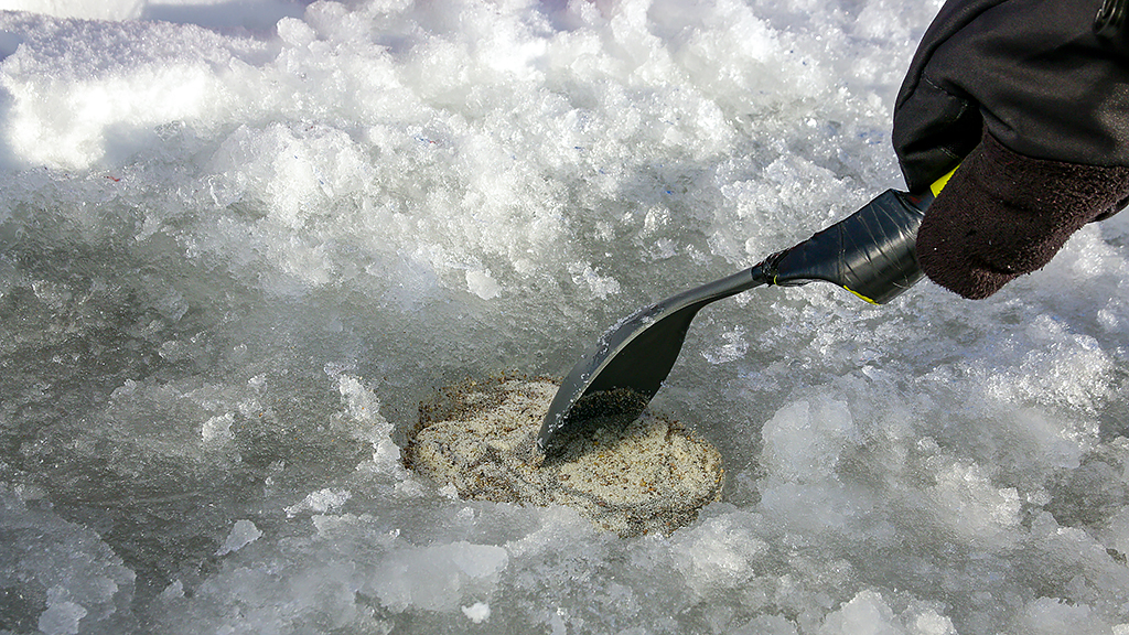 рыбалка на плотву зимой