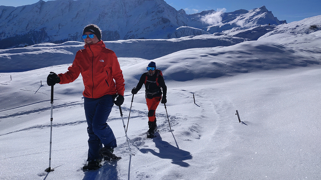Охотничьи лыжи: их виды, материалы, критерии выбора и правила ухода