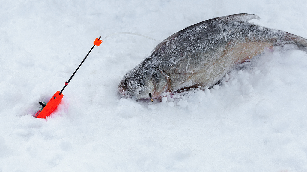 Мормышки для зимней рыбалки | Рыбалка, электроника, спорт. | Дзен