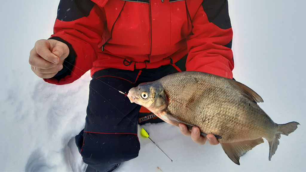 зимняя лещевая рыбалка на черта