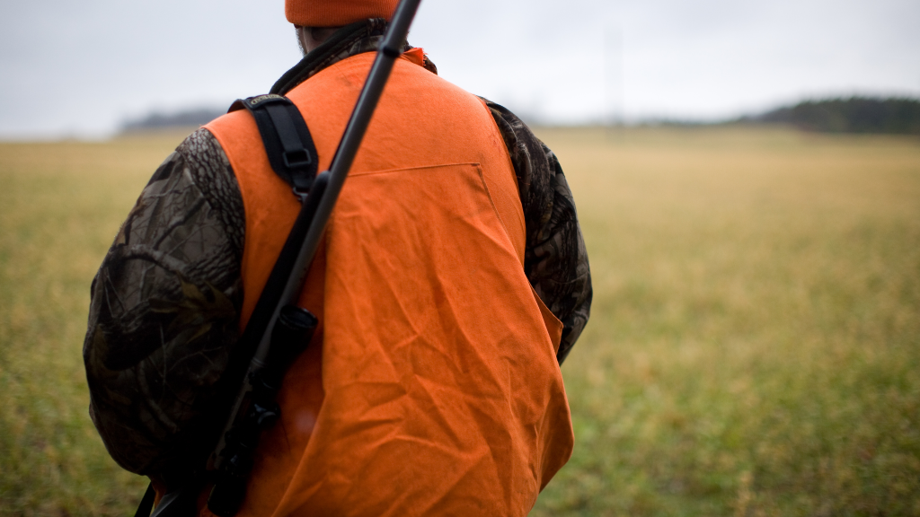 Охотничья этика или моральный кодекс охотника