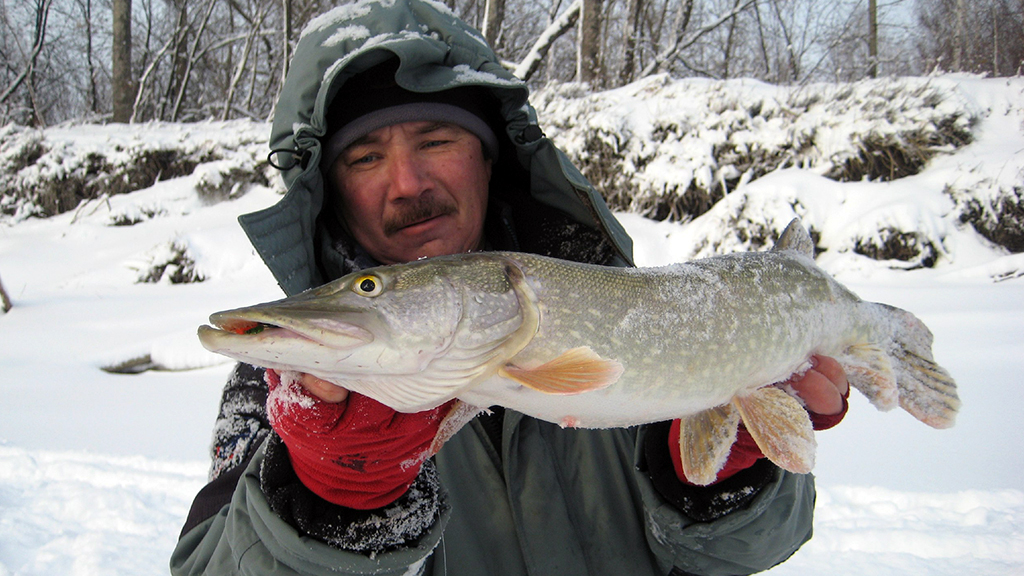 рыбалка зимой на течении