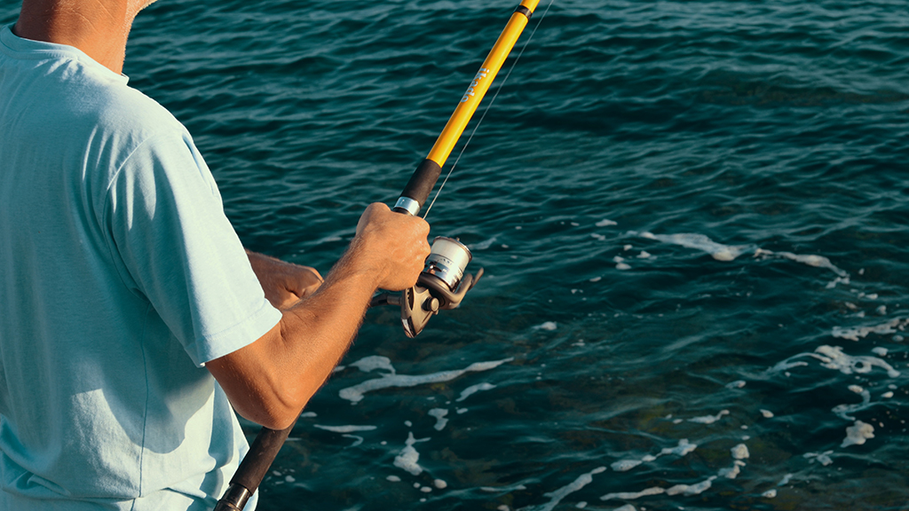 Снасть пробка для рыбалки своими руками – Все о рыбалке