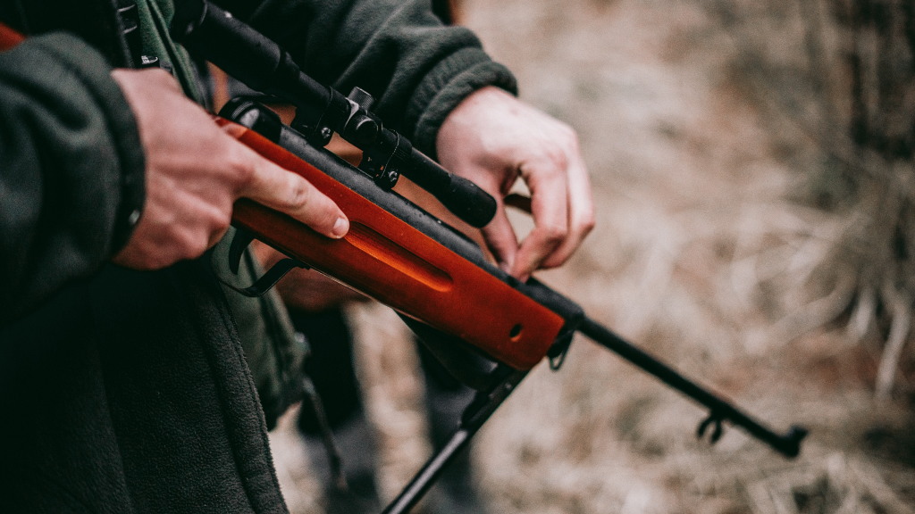 Охота на утку с пневматикой — важные особенности и советы по выбору оружия