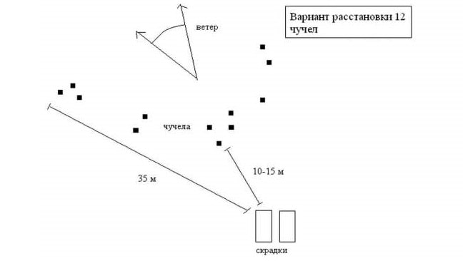 Расстановка чучел гусей весной на поле схема