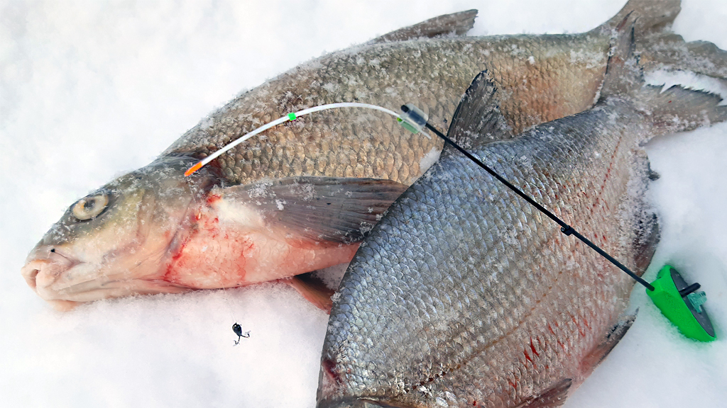 зимняя лещевая рыбалка на черта