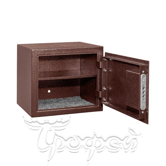 Шкаф металлический для хранения оружия "Гарант" T-SG-207 (300х350х250) 