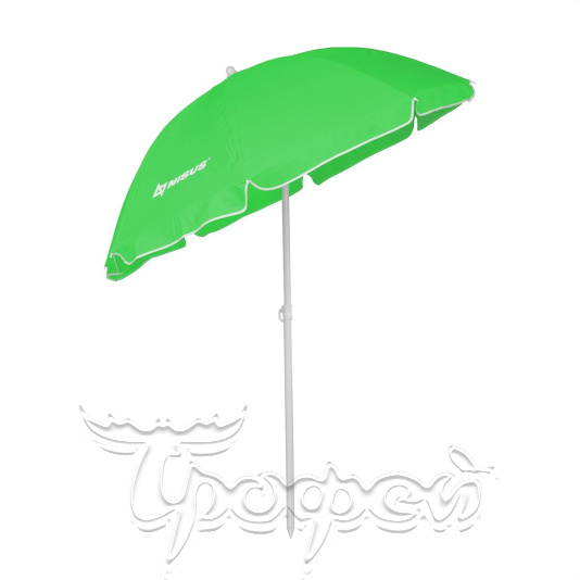 Зонт пляжный d 2,00м с наклоном (28/32/210D) NA-200N-G 