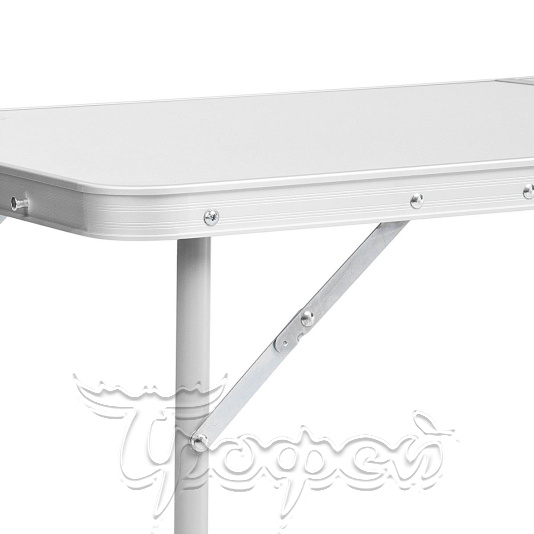 Набор мебели, стол + 4 табурета (T-PR-FS-60x120+4) (пр-во Тонар) 