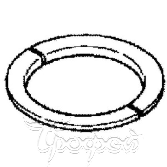 Упорное кольцо (THRUST PLATE) 16204 