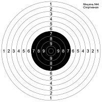 Мишень №4 Спортивная 500*500 мм 31-4166 