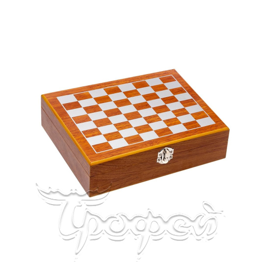 Набор-чемодан с шахматами GT-TZ209 