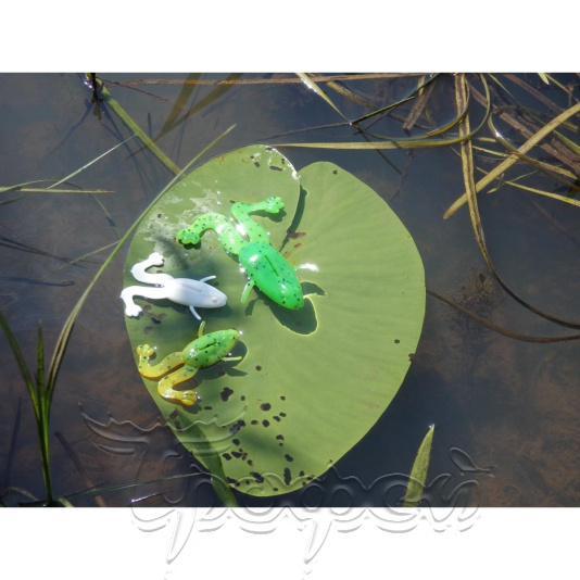 Лягушка Crazy Frog 2,36"/6,0 см Pepper Green & Orange (HS-22-018-N) 