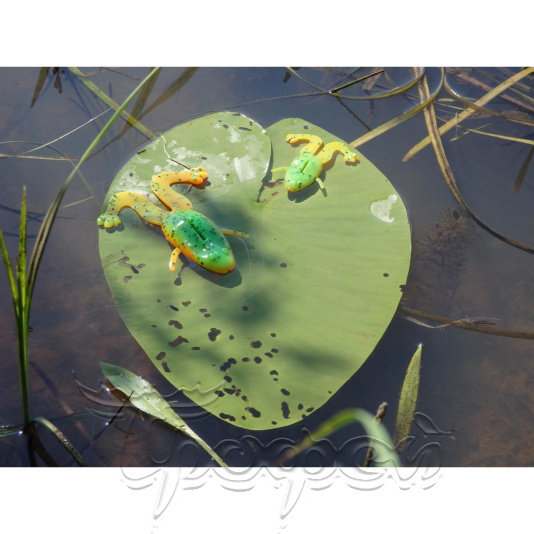 Лягушка Crazy Frog 2,36"/6,0 см Pepper Green & Orange (HS-22-018-N) 