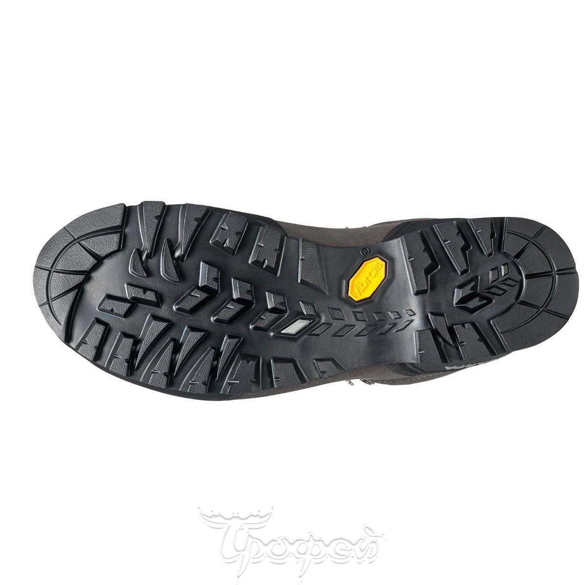 ZODIAC PLUS GTX SCARPA