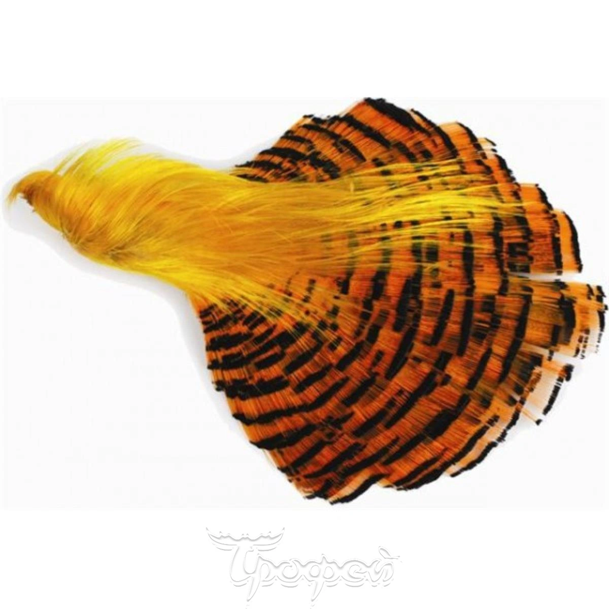 Fly-Fishing шейные перья золотого фазана Golden Pheasant Tippets large natural. Скальп золотого фазана. Fly-Fishing шейные перья золотого фазана Golden Pheasant Tippets Medium Black.
