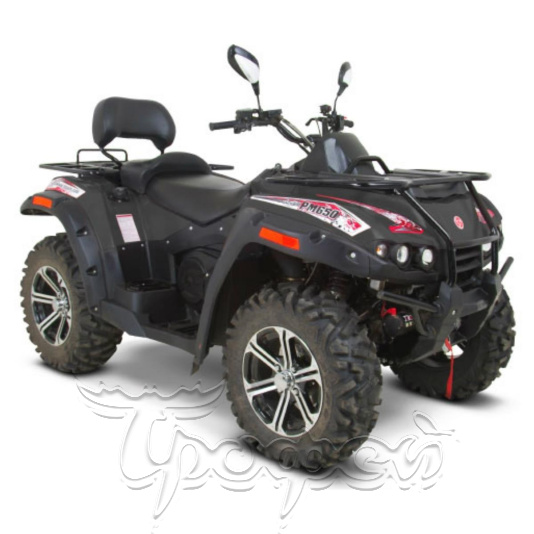 Квадроцикл RM 650-2 (Черный XWTRM6502H1107608) 